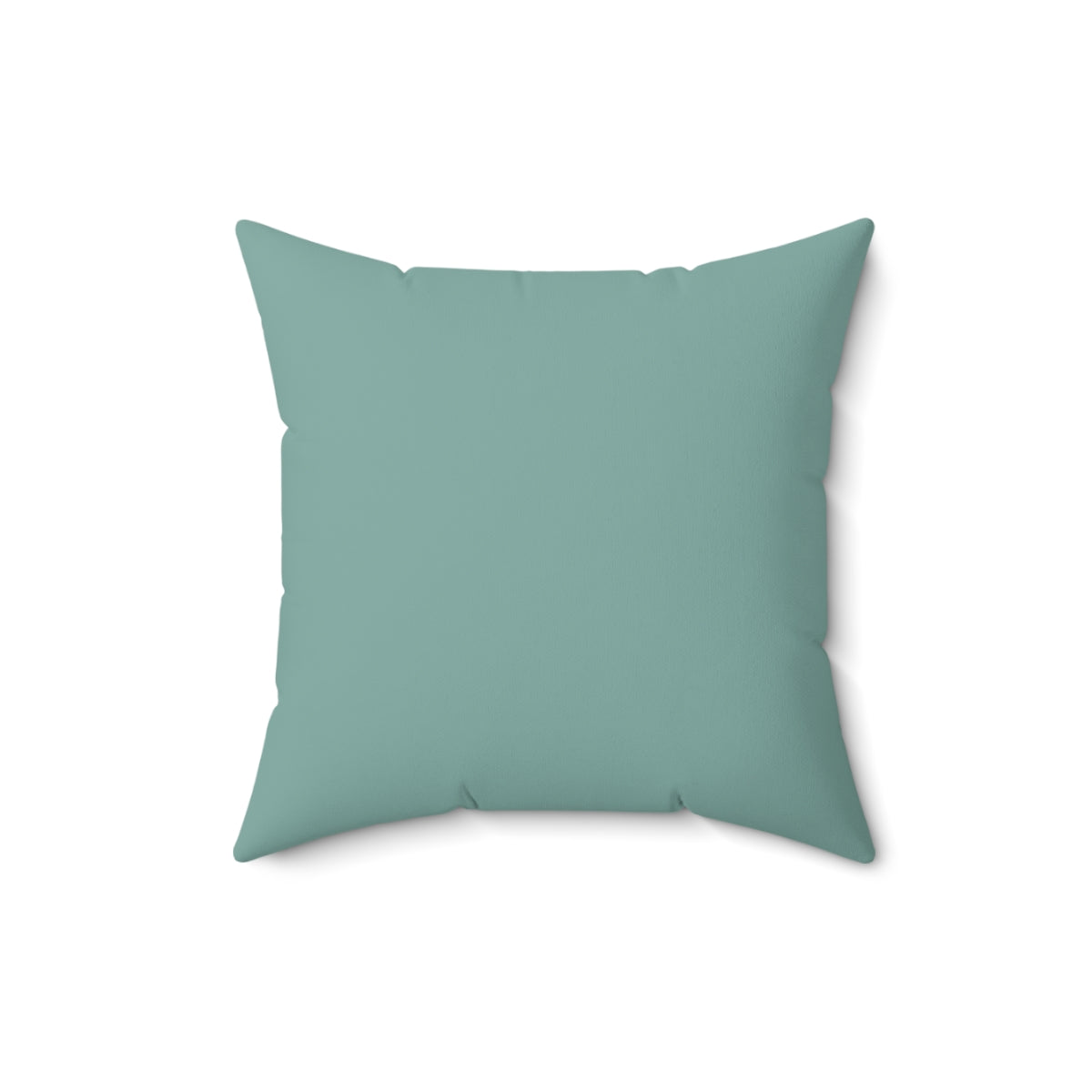 The Truth is Out There Decorative Pillow