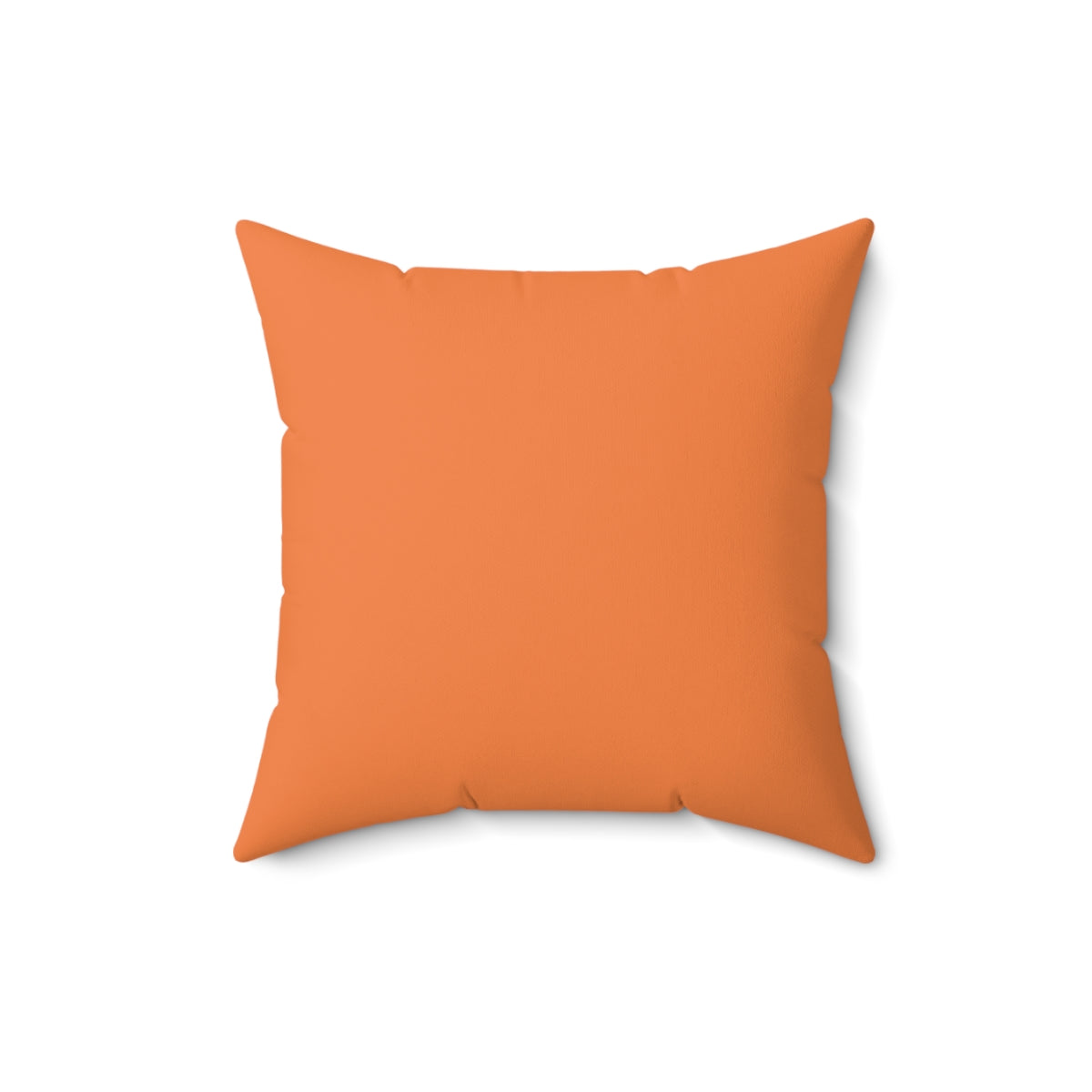 Writer's Imagination Decorative Pillow