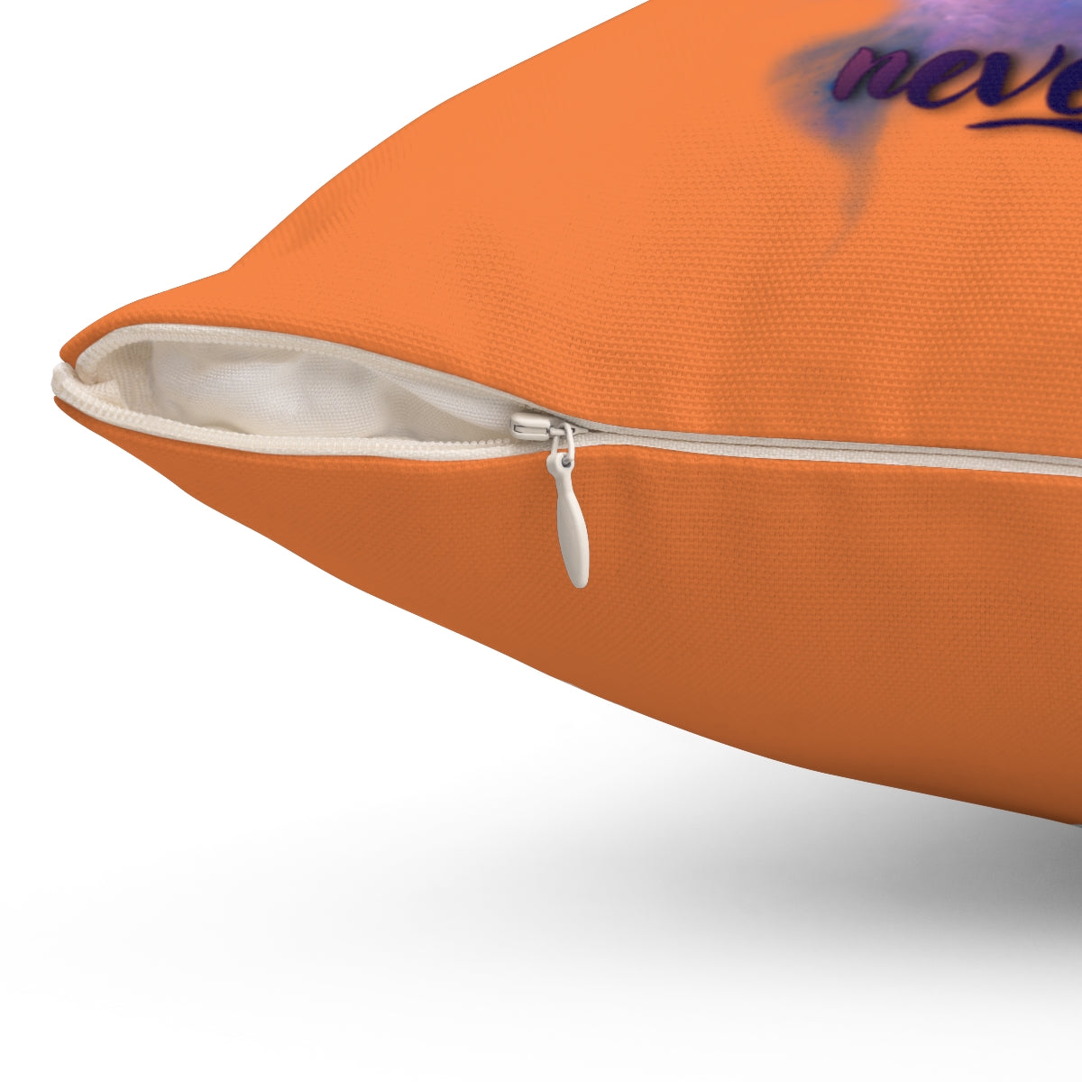 Writer's Imagination Decorative Pillow