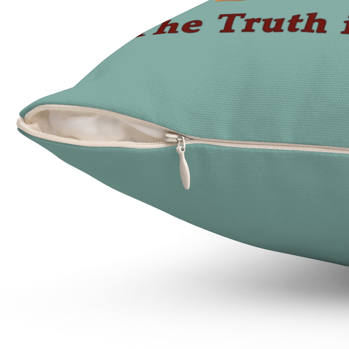 The Truth is Out There Decorative Pillow
