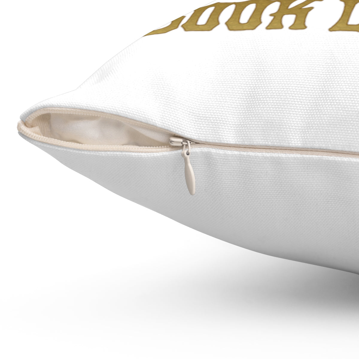 Book Dragon Decorative Pillow